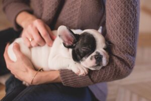 ペットロスで寝れない時の効果的な対処法は？
