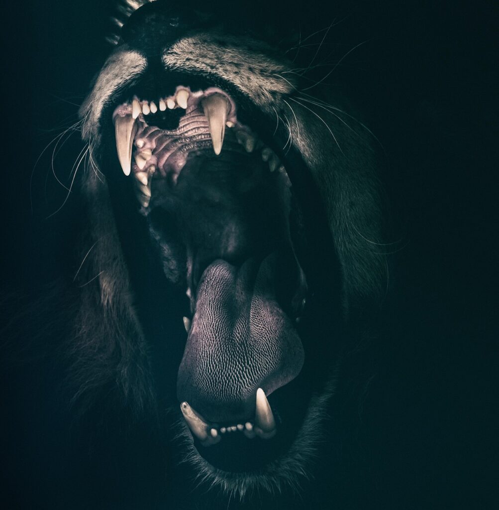 ペットロスで誰にも相談できない時、どう対処すればいい？