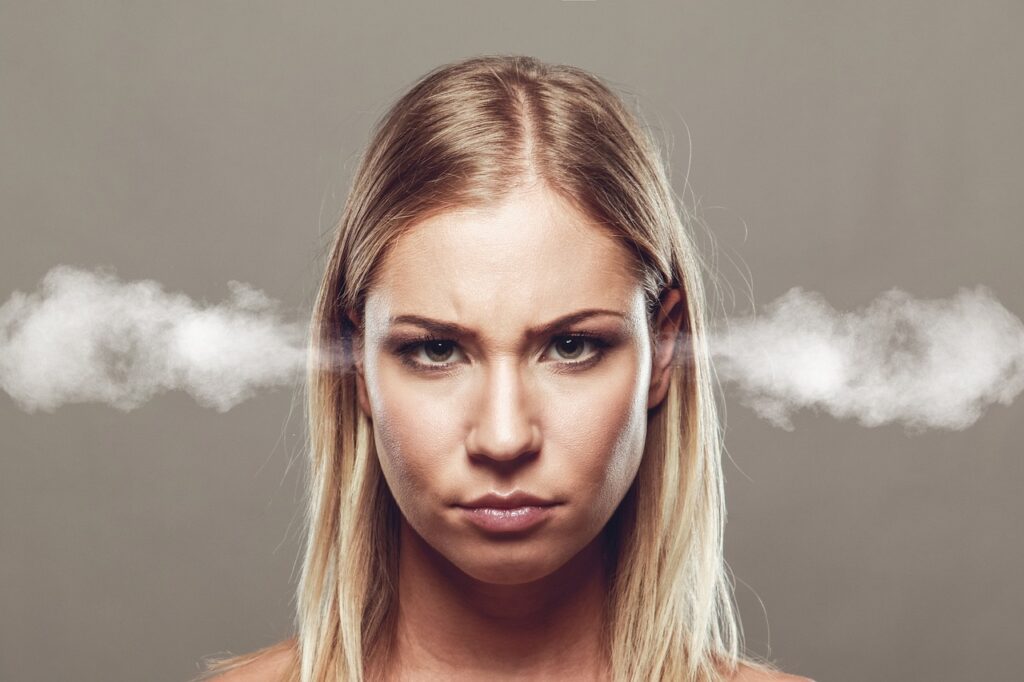 ペットロスの怒りを感情として整理する方法は？